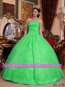 2014 Green Ball Gown Strapless Organza Appliques Quinceanera Dress