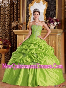 2014 Taffeta Ball Gown Strapless Floor-length Pick-ups Quinceanera Dressp in Spring Green