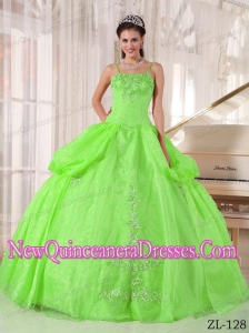 Beautiful Ball Gown Spaghetti Straps Floor-length Taffeta and Organza Appliques Quinceanera Dresses in Spring Green