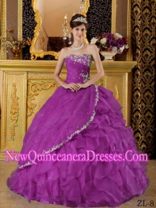 In Purple Ball Gown Strapless Organza Appliques Bule 2014 Quinceanera Dress