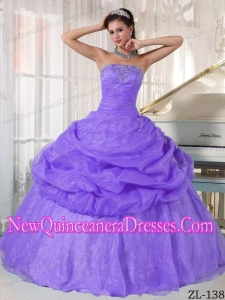 Lavender Ball Gown Strapless Floor-length Organza 2013 Quinceanera Dress with Appliques