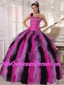 Classical Ball Gown One Shoulder Multi-color Organza Beading and Ruffles Quinceanera Dress