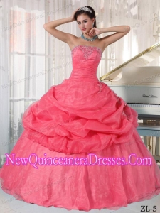 Organza Watermelon Ball Gown Strapless Floor-length Appliques Classical Quinceanera Dress