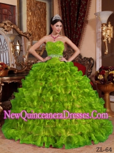 Spring Green Ball Gown Sweetheart Floor-length Organza Beautiful Quinceanera Dress with Beading