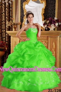 Classical Strapless Spring Green Ball Gown Embroidery Organza Quinceanera Dress