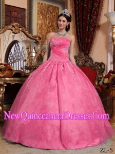 Organza Ball Gown Strapless Floor-length Appliques Quinceanera Dress in Hot Pink