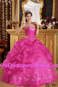 Ball Gown Strapless Embroidery Organza Luxurious Quinceanera Dresses in Hot Pink
