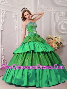 Multi-color Ball Gown Taffeta Appliques Luxurious Quinceanera Dresses