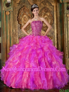 Ball Gown Strapless Organza Beading and Ruffles Luxurious Quinceanera Dresses in Multi-Color