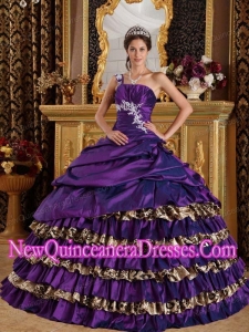 Dark Purple One Shoulder Taffeta and Leopard Appliques Fashionable Quinceanera Dress