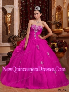 Elegant Fuchsia Ball Gown Sweetheart Organza Quinceanera Dress with Appliques