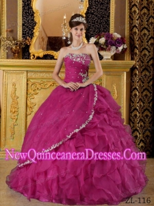 Fuchsia Ball Gown Strapless Floor-length Organza Appliques Bule Quinceanera Dress