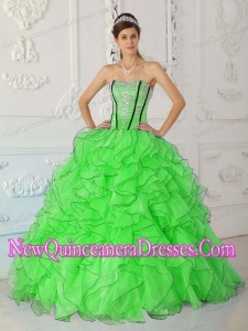 Spring Green Strapless Organza Appliques Luxurious Quinceanera Dresses