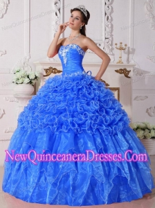 Baby Blue Ball Gown Organza Embroidery with Beading Luxurious Quinceanera Dresses