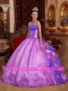 Perfect Purple Ball Gown Strapless Floor-length Organza Embroidery Quinceanera Dress