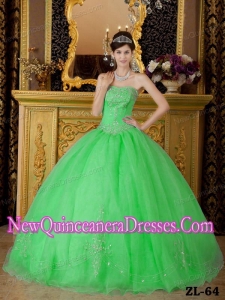 Plus Size Spring Green Ball Gown Strapless Floor-length Organza withBeading Quinceanera Dresses