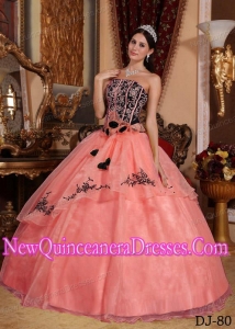 A Colorful Strapless Organza Embroidery Simple Quinceanera Dresses