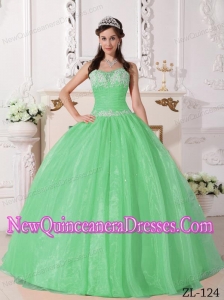 Plus Size Apple Green Ball Gown Strapless Floor-length Taffeta and Organza with Appliques Quinceanera Dresses