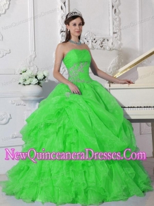 Plus Size Green Ball Gown Strapless Floor-length Organza with Beading Quinceanera Dresses