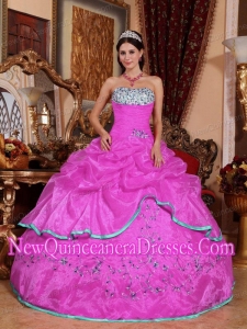 Plus Size Hot Pink Ball Gown Strapless Floor-length Organza with Appliques Quinceanera Dresses