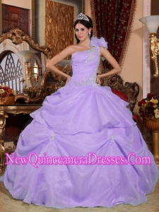 Plus Size Lilac Ball Gown One Shoulder Floor-length Organza with Appliques Quinceanera Dresses