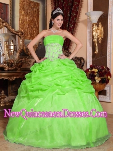 Plus Size Spring Green Ball Gown Strapless Floor-length Organza with Appliques Quinceanera Dresses