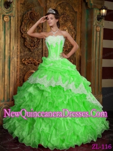 Ruffles Ball Gown Organza Pretty Sweet 15 Dresses in Spring Green