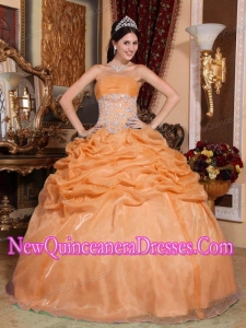 Ball Gown Strapless Floor-length Organza Appliques Popular Quinceanera Gowns in Orange