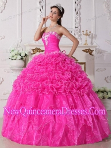 Strapless Organza Embroidery with Beading Puffy Quinceanera Dress