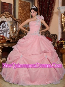 Popular Ball Gown One Shoulder Floor-length Organza Appliques Quinceanera Gowns in Pink