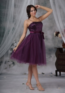 Purple A-Line / Princess Spaghetti Straps Knee-length Tulle Paillette Dama Dresses for Quinceanera