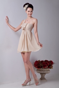 Champagne A-line One Shouldle Mini-length Chiffon Ruch Dama Dresses for Quinceanera