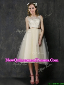 Popular Scoop Champagne Dama Dress with Sashes and Lace