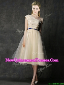 Elegant One Shoulder Sashes and Appliques Damas Dress in Champagne