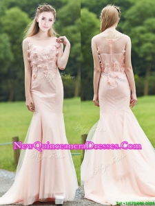 Luxurious See Through Light Pink Mermaid Damas Dress with Brush Train