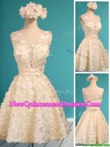 Best Scoop Champagne Short Dama Dress with Appliques and Belt