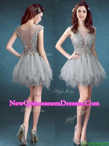 Gorgeous Scoop Appliques and Ruffles Dama Dress in Grey