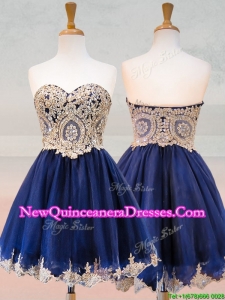 Fashionable Organza Applique with Beading Dama Dress in Royal Blue