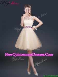 Beautiful Scoop Dama Dresses with Appliques and Belt
