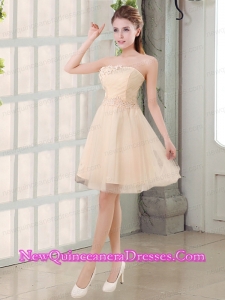 Champagne A Line Strapless Appliques Dama Dresses