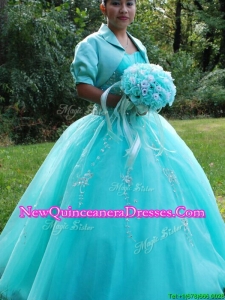 Wonderful Beaded and Applique Floor Length Quinceanera Dress with Puffy Skirt