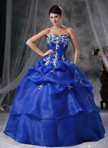 Blue Ball Gown Sweetheart Floor-length Organza Appliques Quinceanera Dress