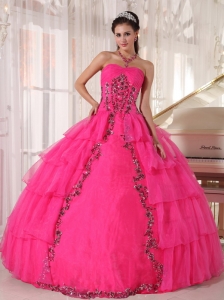 Fashionable Hot Pink Quinceanera Dress Sweetheart Organza Paillette Ball Gown