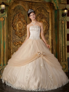 Informal Champagne Quinceanera Dress Strapless Appliques Tulle Ball Gown