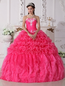 Modest Hot Pink Quinceanera Dress Strapless Organza Embroidery with Beading Ball Gown