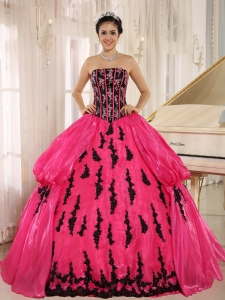 Hot Pink 2015 New Arrival Strapless Embroidery Decorate For Quinceanera Dress