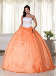 Orange Ball Gown Strapless Floor-length Organza Quinceanera Dress