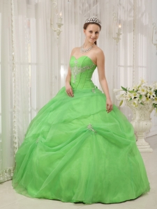 Brand New Spring Green Quinceanera Dress Sweetheart Organza Appliques Ball Gown