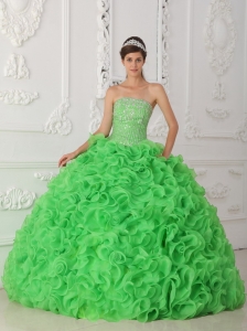 Beautiful Green Quinceanera Dress Strapless Organza Beading Ball Gown