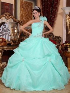 Fashionable Apple Green Quinceanera Dress One Shoulder Organza Appliques Ball Gown